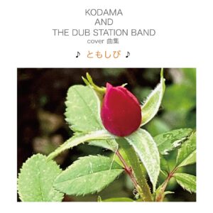 KODAMA AND THE DUB STATION BAND - COVER曲集 ♪ともしび♪ [ CD ]